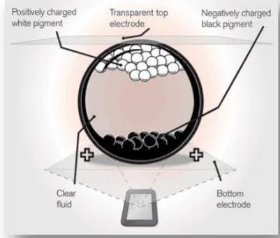 Syride SYS Evolution Flight computer 1 Sys-Evolution-screen