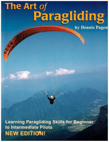 Understanding The Sky  by Dennis Pagen Sport Pilot's Guide to Flying Weather
