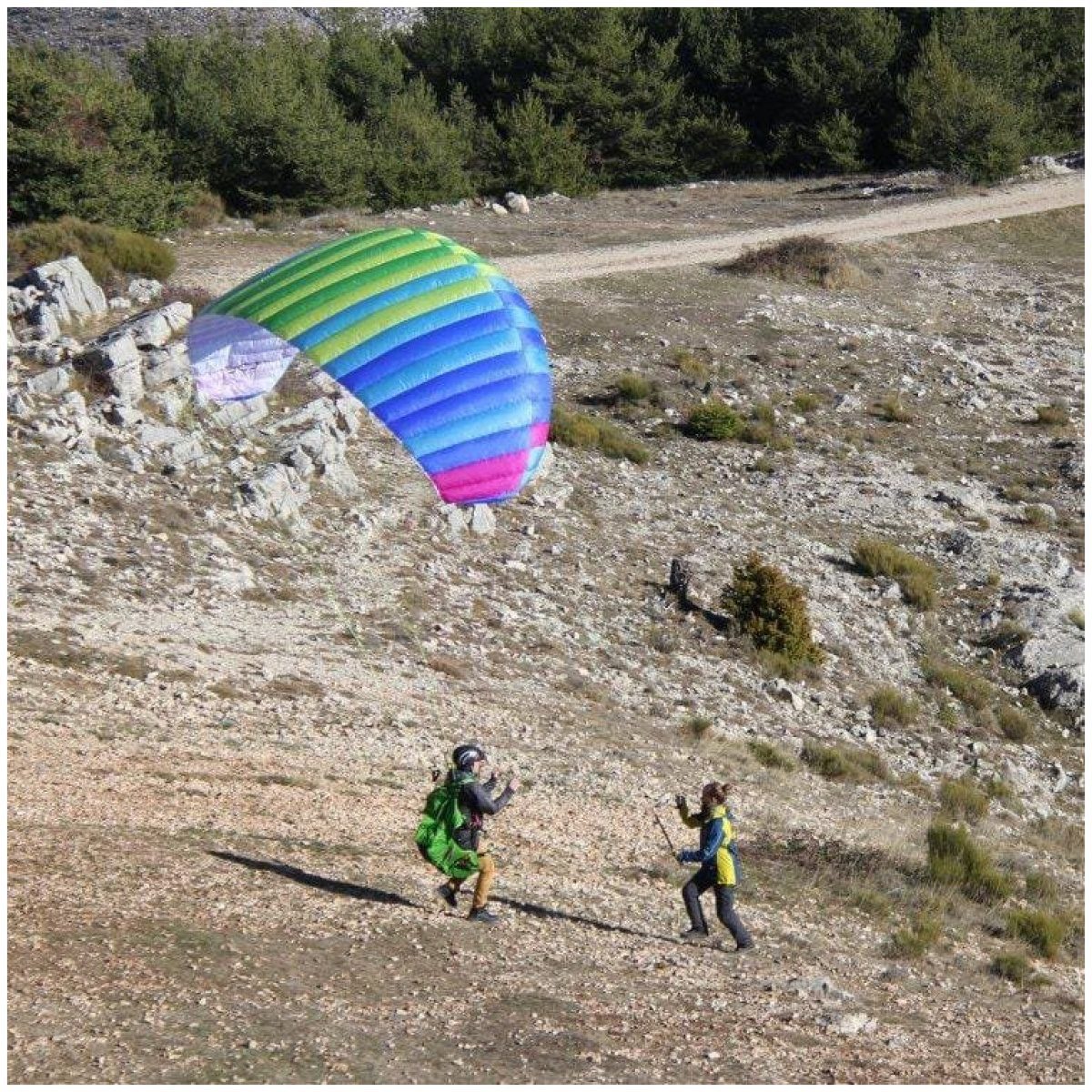 BGD Seed Paraglider 4