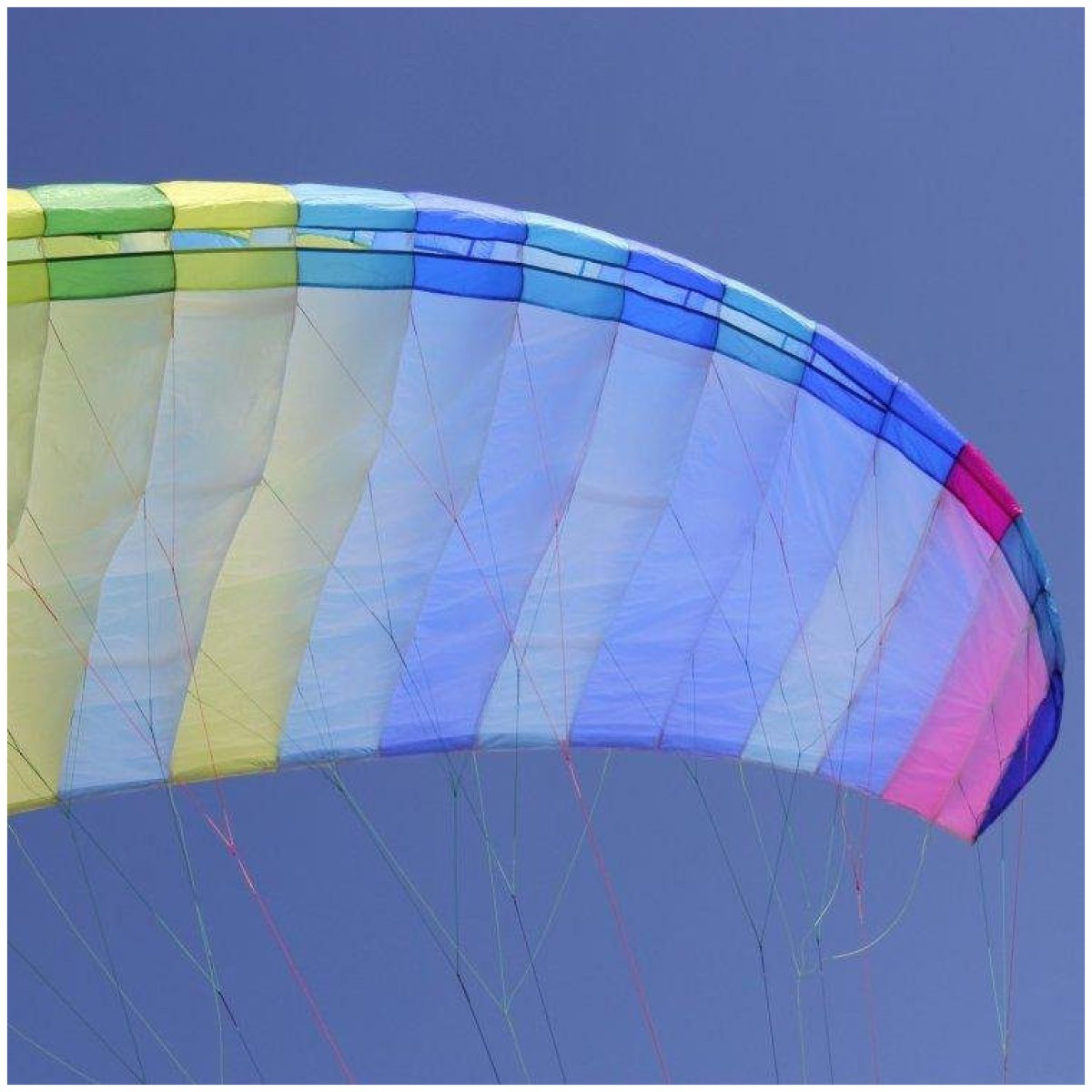 BGD Seed Paraglider 5