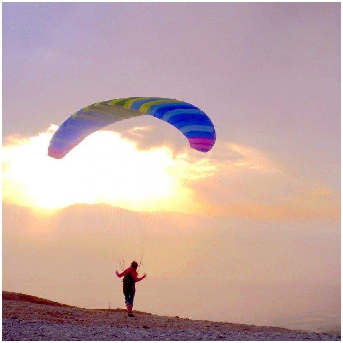 BGD Seed Paraglider 8