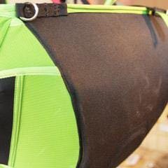 BGD harness