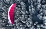 ION 6 – over trees