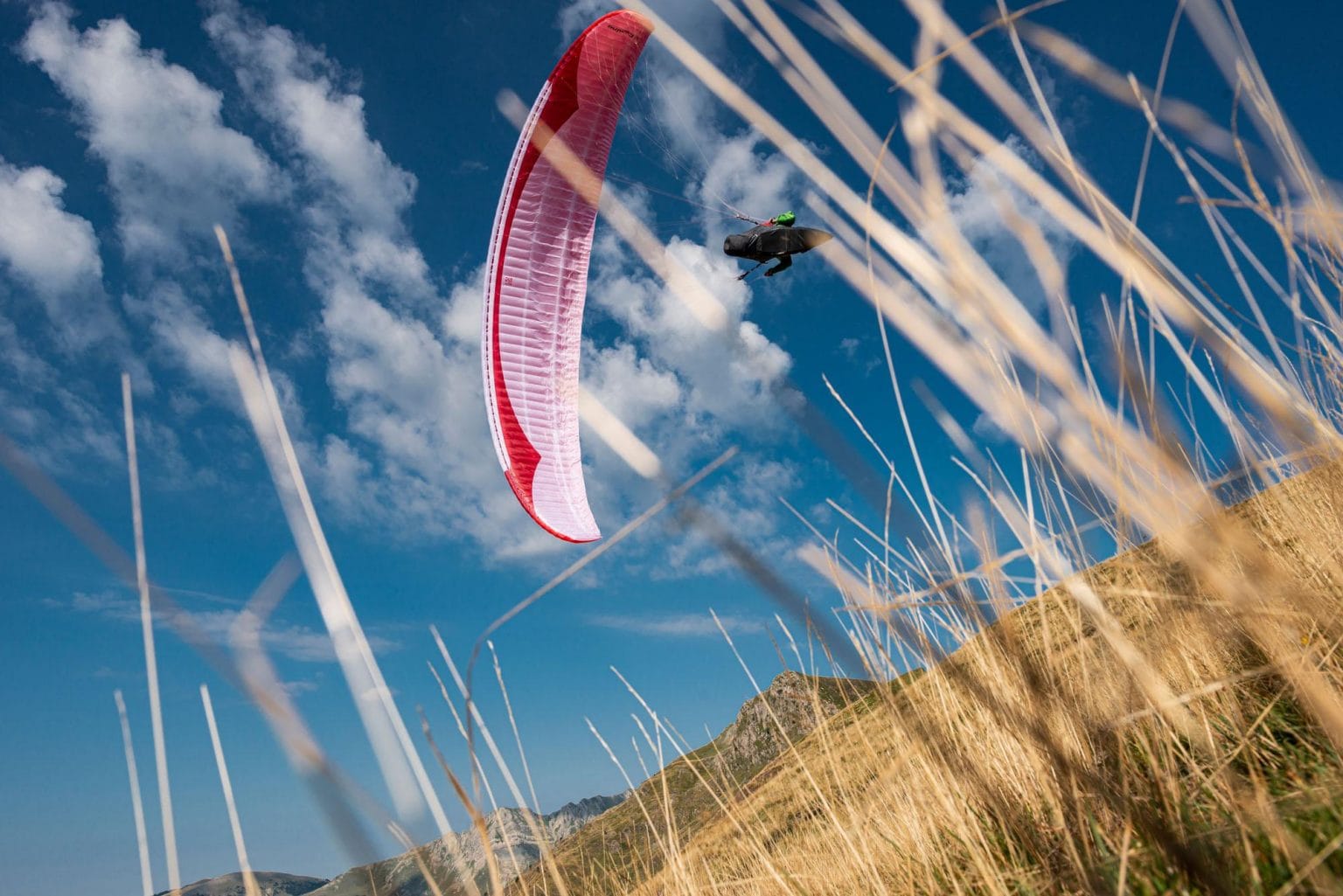 Camino AGILE, ELECTRIFYING The Camino – ready for adventure both on the trail and in the sky. It offers an alluring blend of smooth, agile handling and electrifying real-world performance.