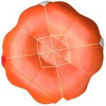 Advance SQR Companion Light 2 Reserve - Image 4