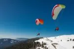 Gin Yeti 5 - Image 4