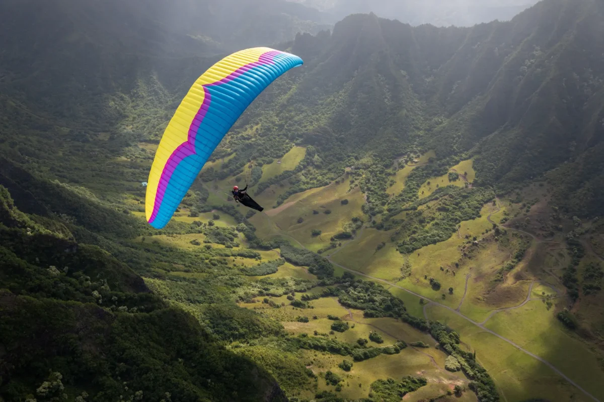 OZONE DELTA 4 Paraglider