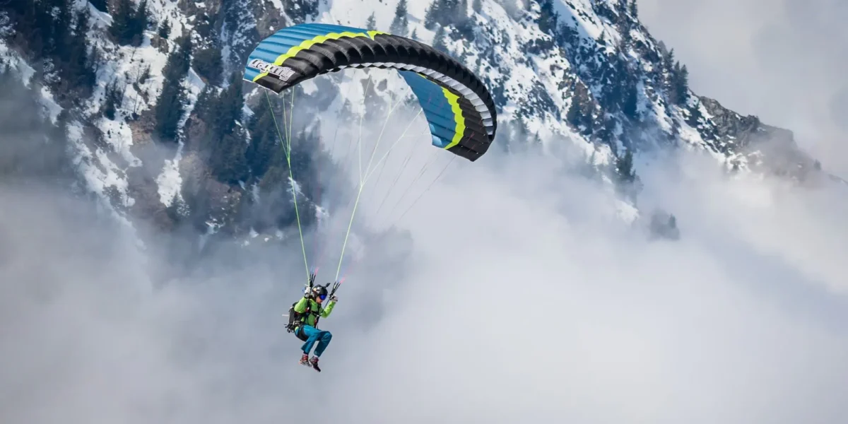 OZONE DRAGONFLY Speed Wing 2