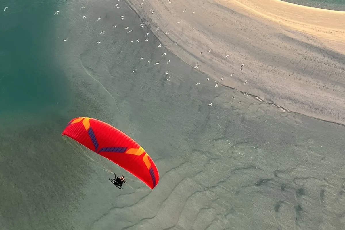Ozone Speedster 3 Wing 2