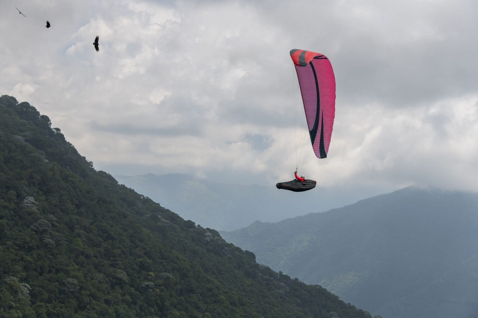 SKYWALK CAYENNE6 4 scaled