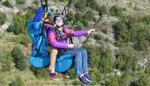 BGD LINK Harness