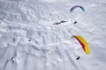 Gin Explorer 2 - Image 6