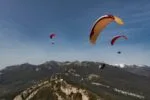Gin Avid - sports XC paraglider (EN B)