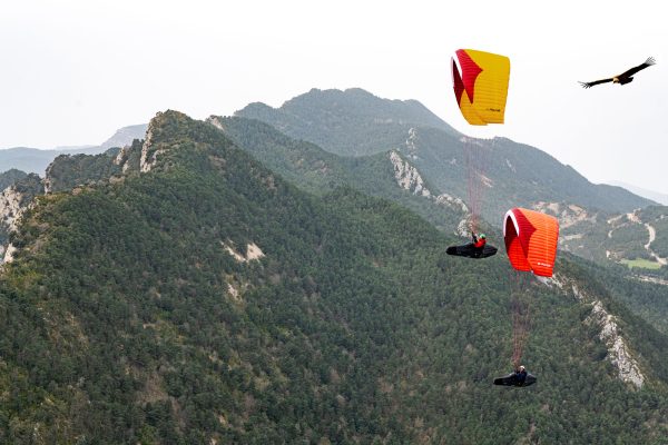 Gin Avid sports XC paraglider EN B 7 scaled