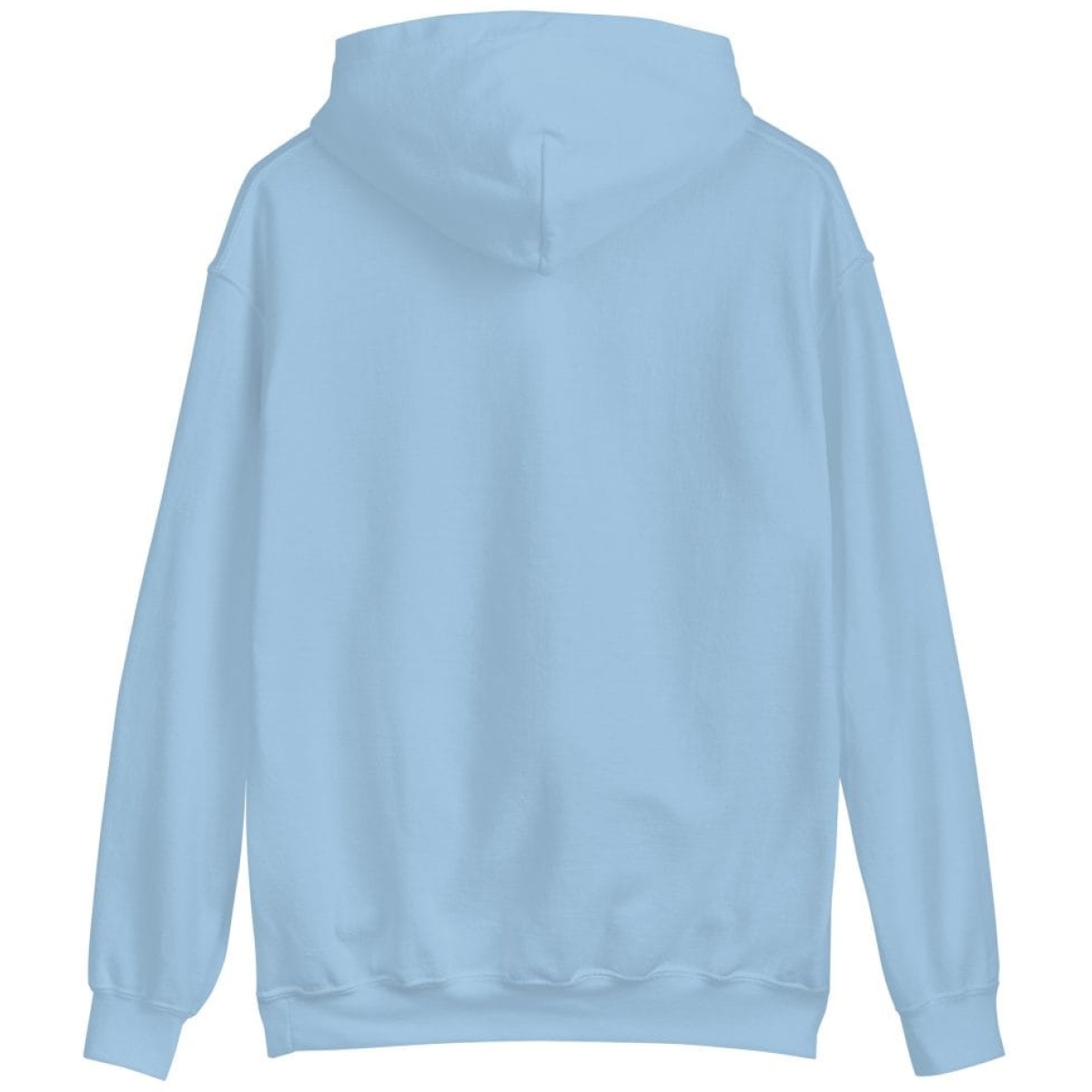 unisex heavy blend hoodie light blue back 63cedc32adeba scaled