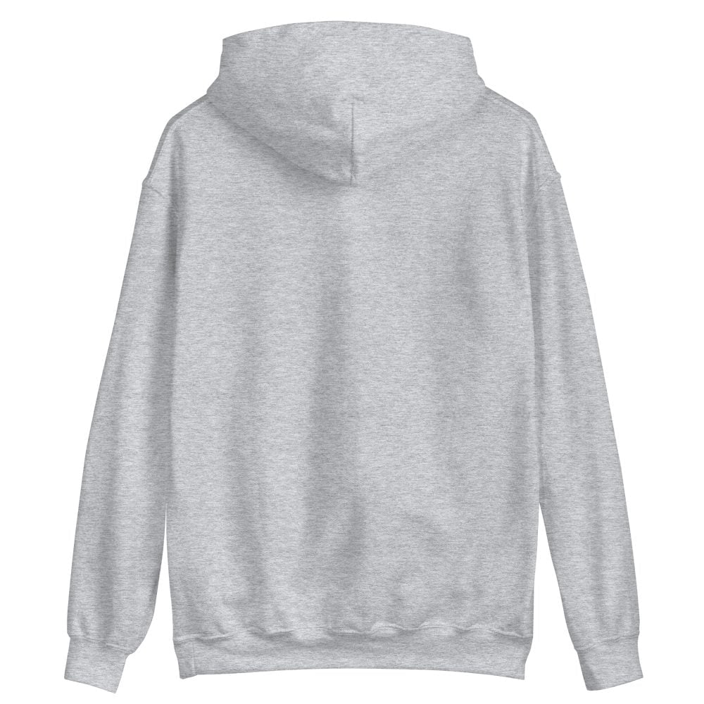 unisex heavy blend hoodie sport grey back 63cedc32abd3d scaled
