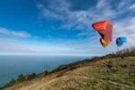 Gin Bolero 7 EASY EN A Paraglider - Image 11