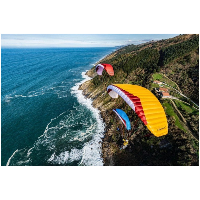 Paragliders Brands