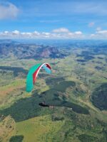Gin Boomerang 12 COMPETITION CCC Wing - Image 5