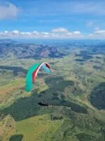 Gin Boomerang 12 COMPETITION CCC Wing - Image 5