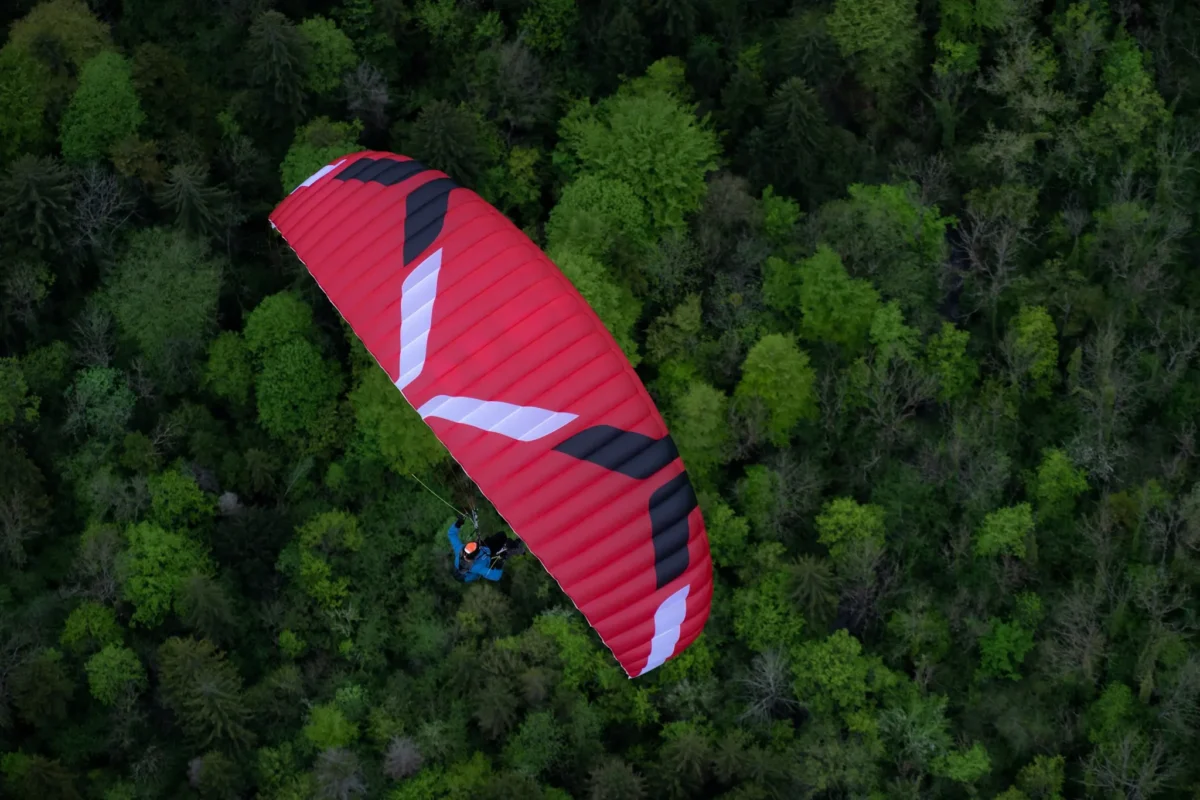 Ozone Litespeed 3 Speed wing 5