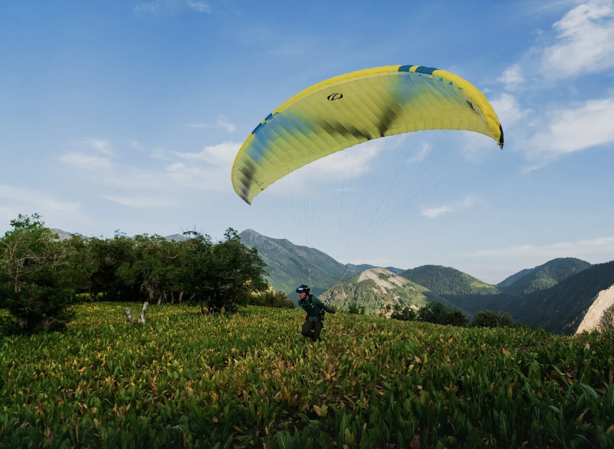 Ozone Litespeed 3 Speed wing 6