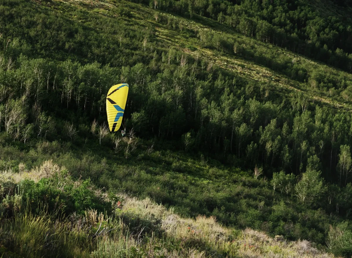 Ozone Litespeed 3 Speed wing 8