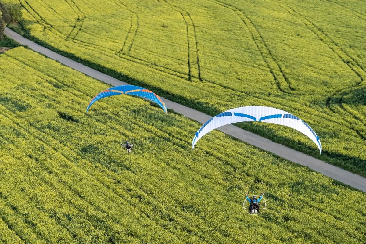 Ozone Viper 6 2