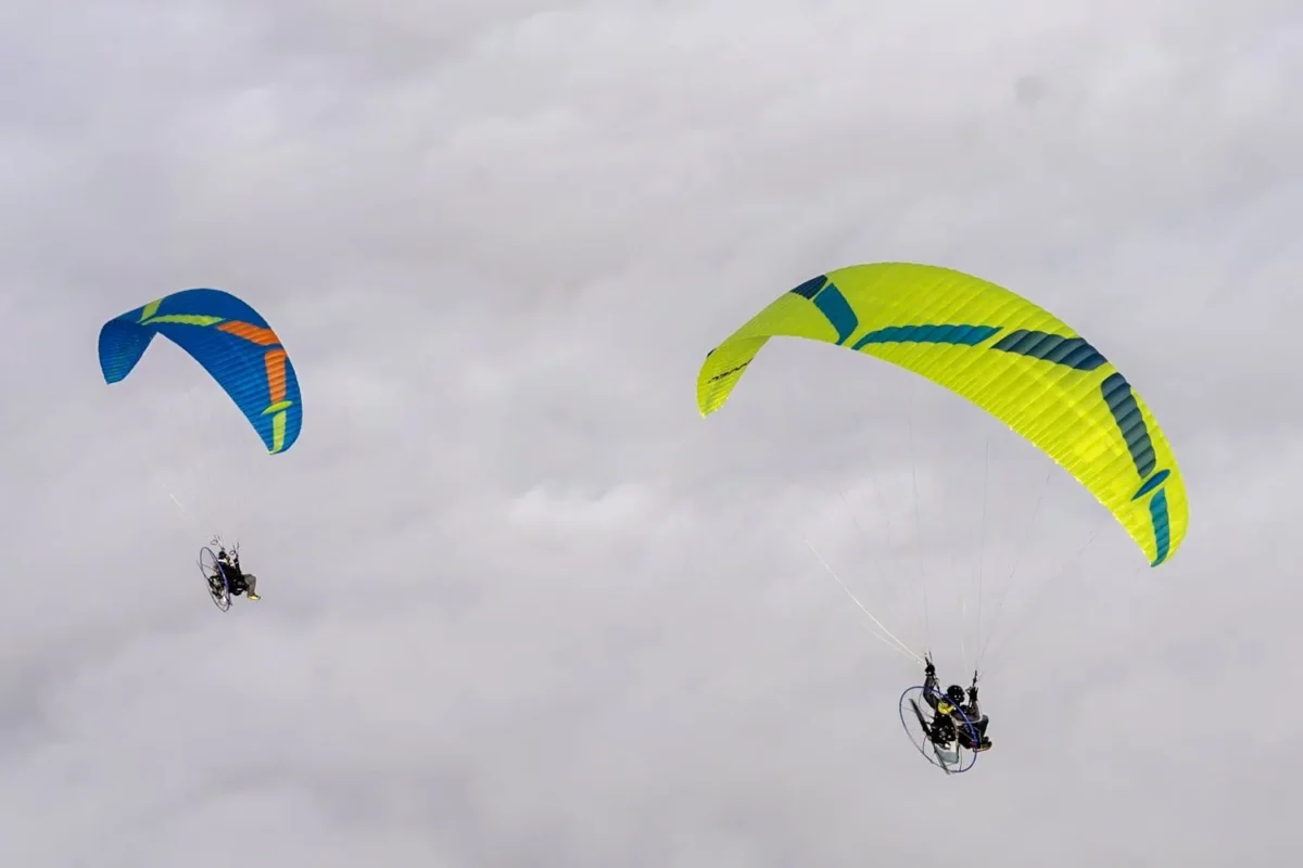 Ozone Viper 6 7
