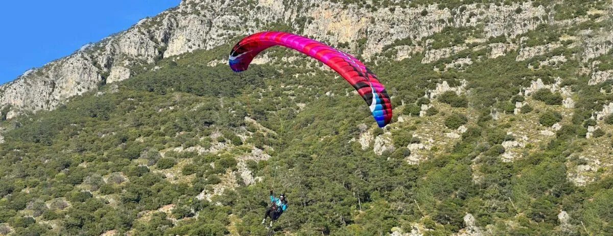 BGD Epic Freestyle - Image 2