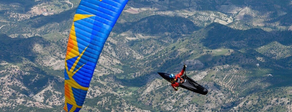 BGD Diva 2 Paraglider 8