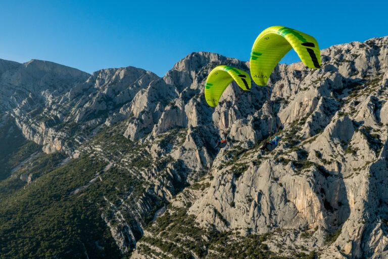 ALTA Pinnacle Performance