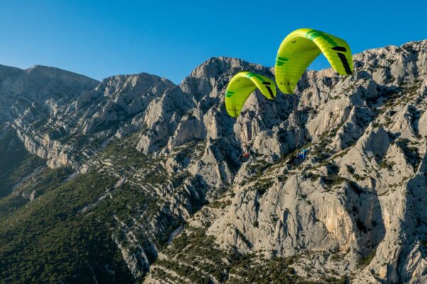 ALTA Pinnacle Performance