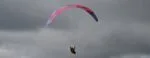 BGD CURE 3 EN C Wing - Image 2