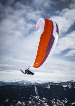 DELIGHT 5 harnesses with SAVAGE 2