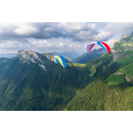 SORA EVO two-seaters in Topaz and Volcano in flight