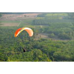 EONA 4 colors Oasis in flight