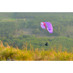 EONA 4 Lilac colors in flight