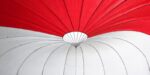 BGD Oops | Reserve – image 15