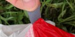 BGD Oops | Reserve – image 17
