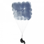 BGD WOW | Reserve – image 11