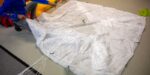 BGD WOW | Reserve – image 18