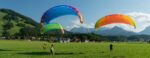 BGD Adam 2 | Paraglider – image 4