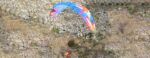 BGD Breeze | Paraglider – image 10