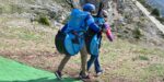 BGD Dual 3 | Paraglider – image 19