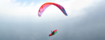 BGD Tuna | Harness – image 5