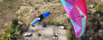 BGD Tuna | Harness – image 4